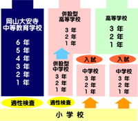 中等教育学校とは