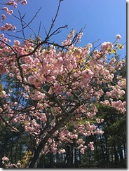0422008